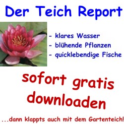 Der-Teich-Report > sofort gratis downloaden...