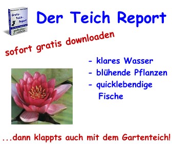 Der-Teich-Report > sofort gratis downloaden...